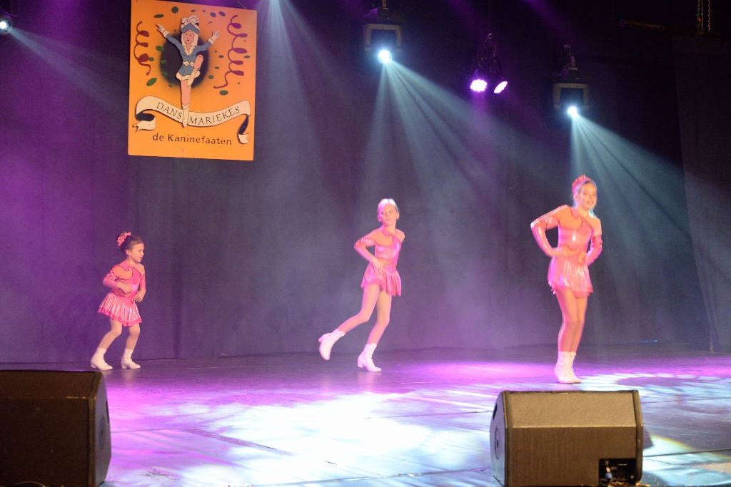 ../Images/Dansmarieke Festival 2016 113.jpg